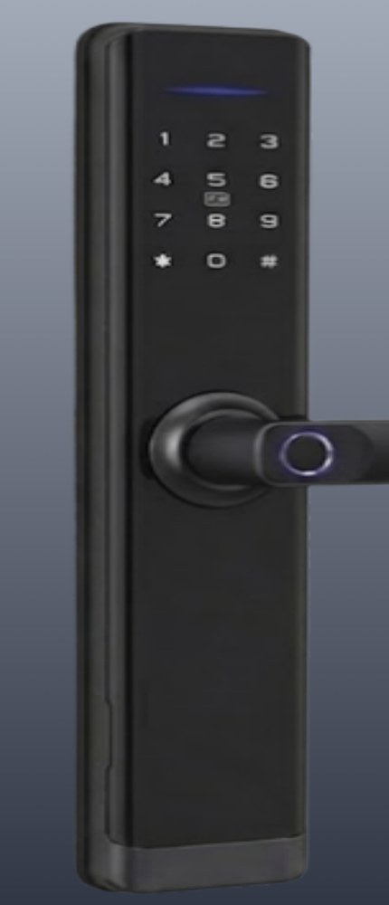 FY205